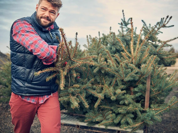 Managing Stress During the Holidays